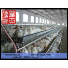 Gaiola de frango para fazenda de aves (preço de fábrica)